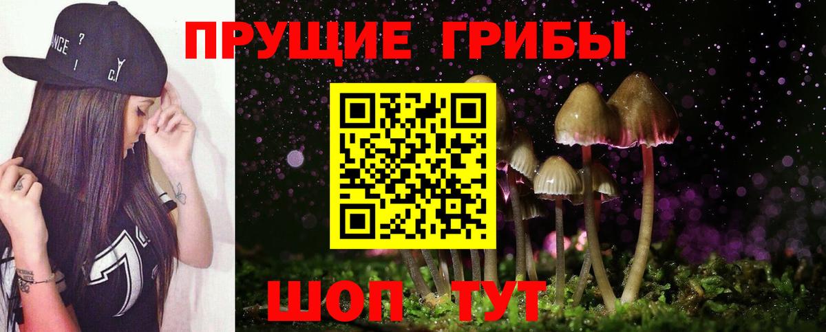 Галлюциногенные грибы MAGIC MUSHROOMS  Вход с VPN  Кунгур 